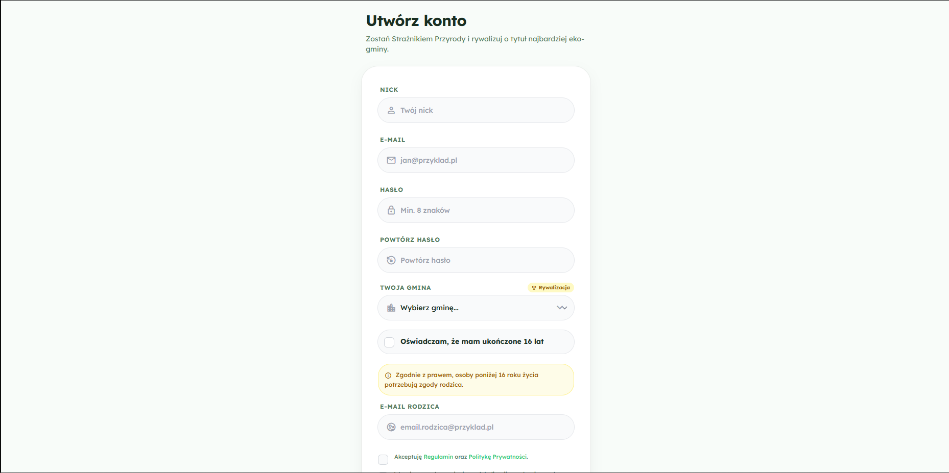 Realizacja projektu